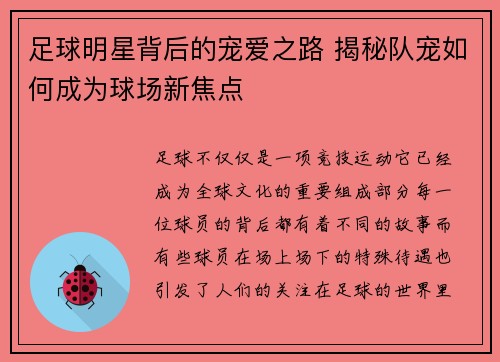 足球明星背后的宠爱之路 揭秘队宠如何成为球场新焦点